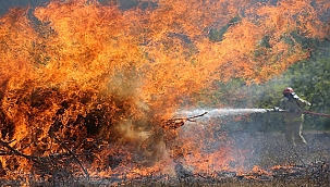 BİGA'DA ORMAN YANGINI!