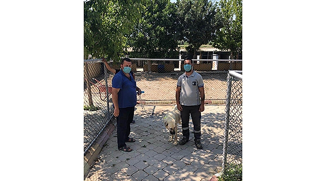 CAN DOSTLAR İÇİN ÇALIŞMALAR SÜRÜYOR