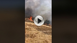 ÇANAKKALE'DE YİNE ORMAN YANGINI! 