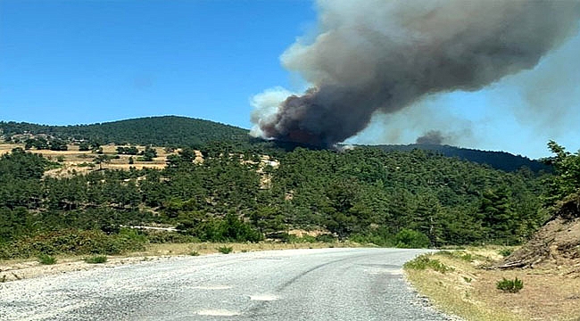 ÇANAKKALE YENİCE'DE ORMAN YANGINI