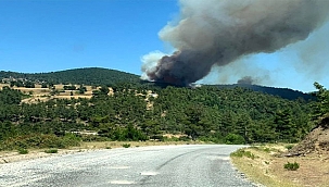 ÇANAKKALE YENİCE'DE ORMAN YANGINI
