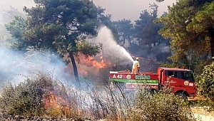 ÇOK SAYIDA ARAÇ MÜDAHALE İÇİN İSKELEDE!