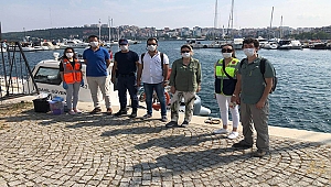 SAHİL KESİMLERİNDEN NUMUNELER ALINDI