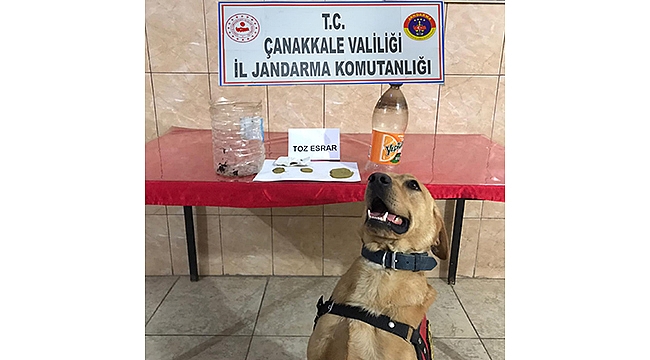 UYUŞTURUCU TİCARETİNE GEÇİT YOK!