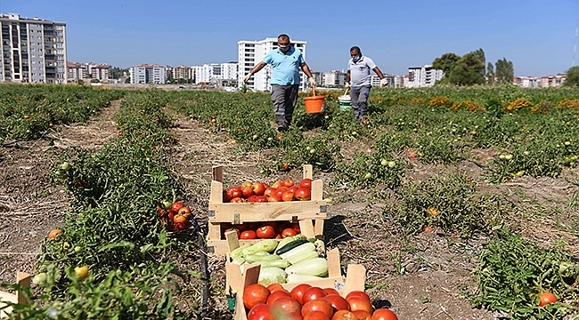  "ATALARDAN TOPRAĞA, TOPRAKTAN SOFRAYA"