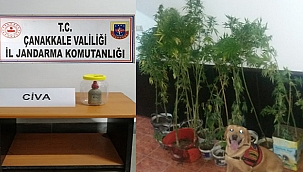 BİN 250 GRAM CİVA ELE GEÇİRİLDİ!