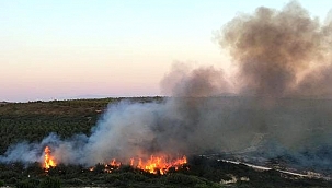 BOZCAADA'DA MAKİLİK ALANDA YANGIN 