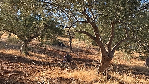KAYBOLAN VATANDAŞ DRONE İLE BULUNDU!