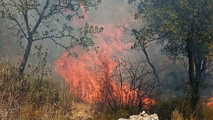 TROAS ÖREN YERİ'NDE YANGIN!
