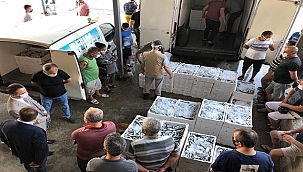 VALİ AKTAŞ, BALIK HALİ'NDEKİ MEZAT PROGRAMINA KATILDI