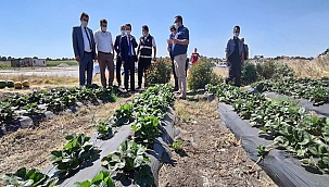 BİGA KADIN ÇİFTÇİLERDE ÇİLEKLİ BAHÇELER PROJESİ