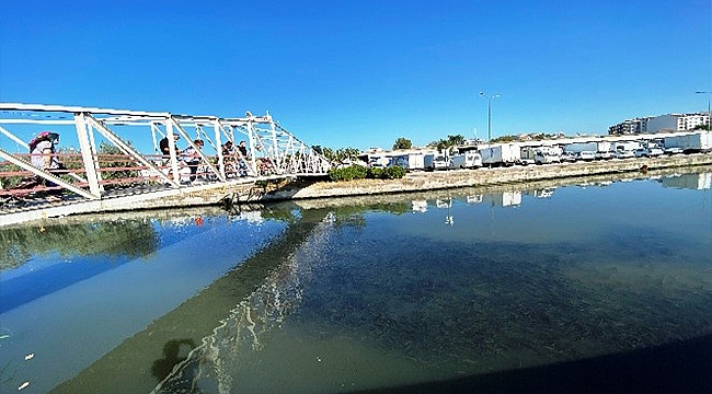 BİNLERCE KEFAL SÜRÜSÜ