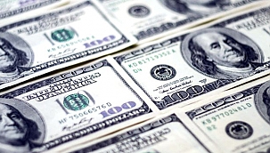 DOLAR TARİHİN EN YÜKSEK SEVİYESİNDEN İŞLEM GÖRÜYOR!