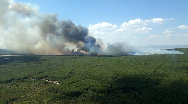 GELİBOLU'DA ORMAN YANGINI!