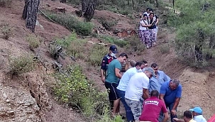 KESTİĞİ AĞACIN ALTINDA CAN VERDİ! 