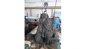 ATIKLARI TUVALETE DEĞİL, ÇÖPE ATALIM!