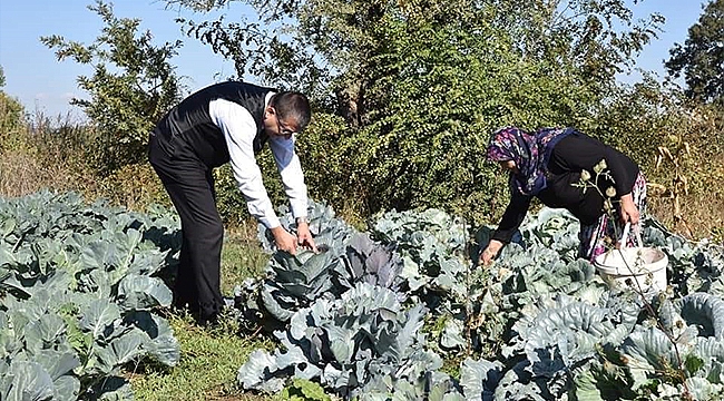 BAŞKAN ÖZ, DÜNYA KADIN ÇİFTÇİLER GÜNÜNDE TARLADA EMEKÇİ KADIN ÇİFTÇİLERİ ZİYARET ETTİ