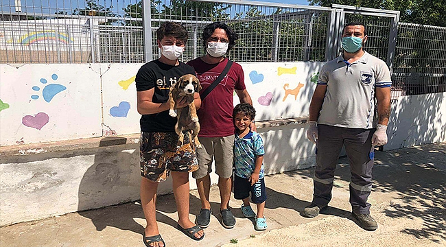 ÇANAKKALE BELEDİYESİ TÜM CANLAR İÇİN ÇALIŞIYOR