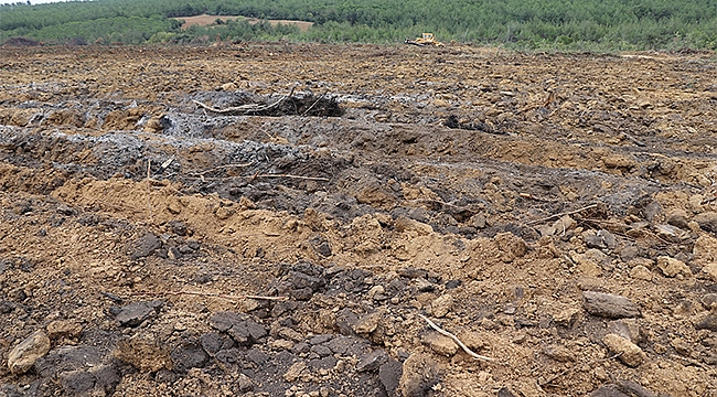 ILGARDERE YANGIN SAHASI YEŞİL ÖRTÜSÜNE KAVUŞACAK