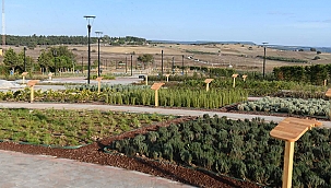 AROMATİK VE TIBBİ BİTKİLER PARKI İÇİN GERİ SAYIM BAŞLADI