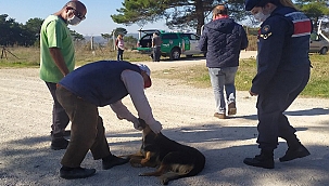 BİR TARAFTA ŞEFKAT.. DİĞER TARAFTA CİNAYET!