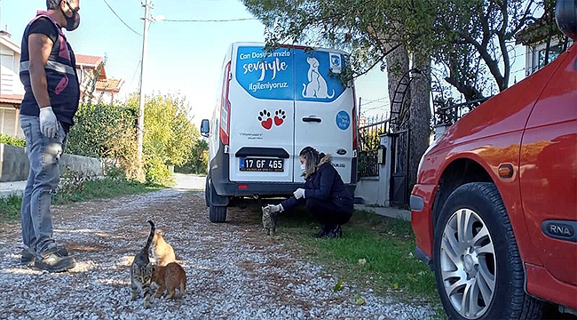 CAN DOSTLAR GÜZELYALI'DA SAĞLIK KONTROLÜNDEN GEÇİRİLDİ