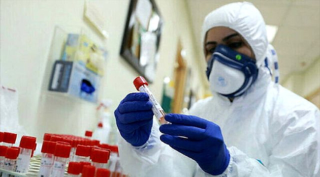 KORONAVİRÜS ARAŞTIRMASINDA KORKUNÇ DETAY!