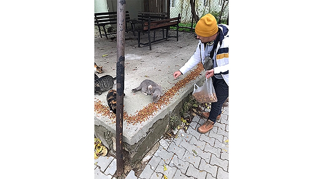 TARAFTAR GRUBUNDAN ÖRNEK HAREKET