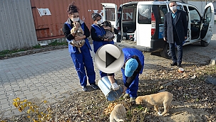 YAŞATMAK İÇİN VARIZ