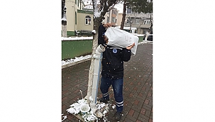 BİGA BELEDİYESİ SOĞUK HAVALARDA SOKAK HAYVANLARINI UNUTMADI