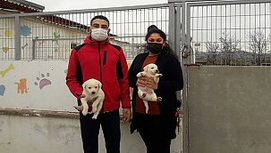 "CAN DOSTLARIMIZ İÇİN ÇALIŞMAYA DEVAM"