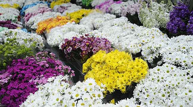 ÇİÇEKÇİLER YASAKTAN MUAF TUTULDU!