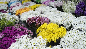 ÇİÇEKÇİLER YASAKTAN MUAF TUTULDU!