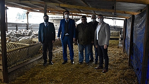 İŞKUR'LA HAYALLERİNE KAVUŞTULAR 