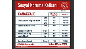 KISA ÇALIŞMA ÖDENEĞİNDEN ÇANAKKALE'DE ARALIK 2020 İTİBARİYLE17 BİN 118 KİŞİ FAYDALANDI