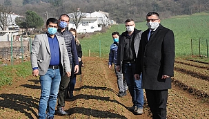 SALEP ÜRETİMİ TİTİZLİKLE TAKİP EDİLİYOR