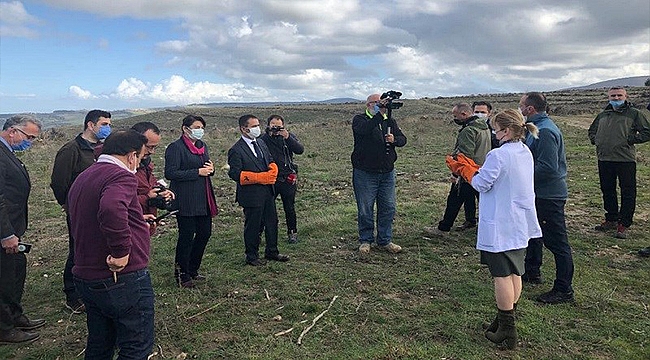 TEDAVİSİ TAMAMLANAN ATMACALAR DOĞAL YAŞAM ALANINA BIRAKILDI