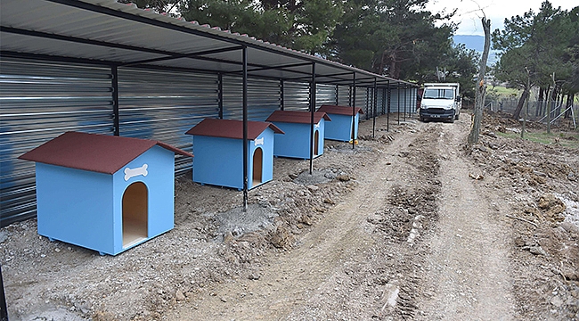 BAŞKAN GÖKHAN ÇALIŞMALARI YERİNDE İNCELEDİ