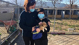 CAN DOSTLARIMIZ İÇİN ÇALIŞMAYA DEVAM