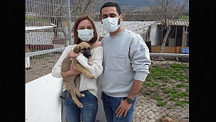 ÇANAKKALE BELEDİYESİ CAN DOSTLARIMIZIN YANINDA