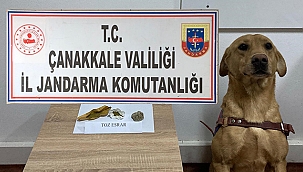 JANDARMA UYUŞTURUCUYA GEÇİT VERMİYOR!