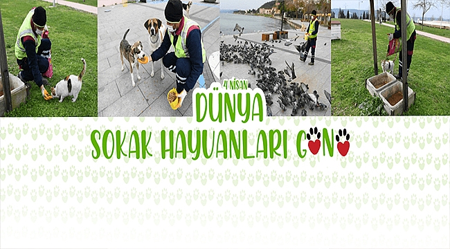 BAŞKAN GÖKHAN'IN 4 NİSAN DÜNYA SOKAK HAYVANLARI GÜNÜ MESAJI