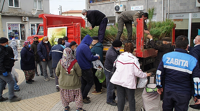 FISTIK ÇAMI FİDANI DAĞITILDI