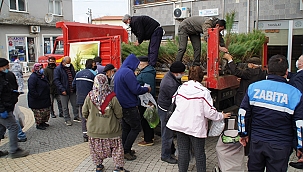 FISTIK ÇAMI FİDANI DAĞITILDI