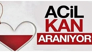 PLAZMA KAN ARANIYOR...!