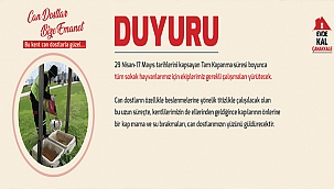 SOKAK HAYVANLARI İÇİN EKİPLER SAHADA