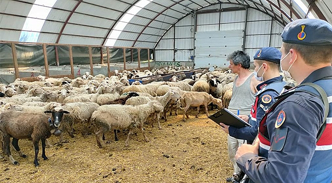 HAYVAN HIRSIZLIĞI OLAYI AYDINLATILDI!