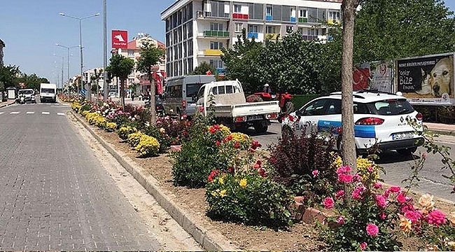 KEPEZ ÇİÇEK AÇTI