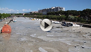 SARIÇAY ÇIĞLIK ATIYOR!