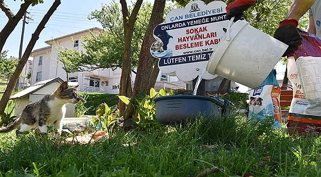 "TAM KAPANMADA CAN DOSTLARIMIZ EMİN ELLERDE"